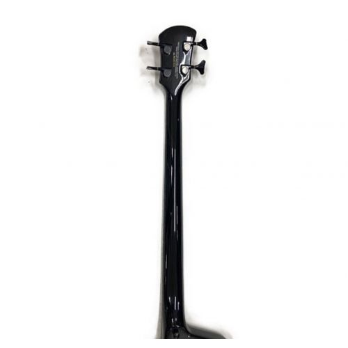 送料無料ベース スペクター　spector REX4 bass セミハードケース 送料無料ベース スペクター spector REX4 bass セミハードケース