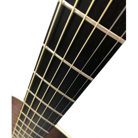 Takamine (タカミネ)エレアコギター SA700シリーズ CUSTOM L.R.BAGGS LYRICマウント