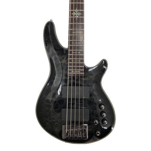 SCHECTER (シェクター) エレキベース HELLRAISER EXTREME-5 STBLS