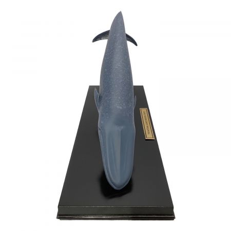 国立科学博物館 退職記念品 シロナガスクジラ