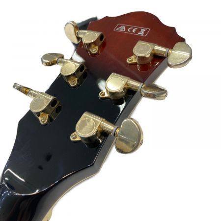 IBANEZ (アイバニーズ) フルアコギター ネックストレート ロッド余裕有 ギグケース付属 AG95-DBS-12-05