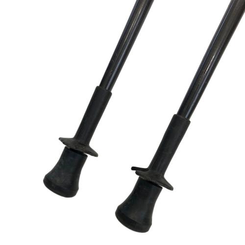 BLACK DIAMOND (ブラックダイヤモンド) トレッキングポール ナチュラル×ブラック