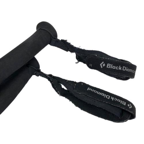 BLACK DIAMOND (ブラックダイヤモンド) トレッキングポール ナチュラル×ブラック