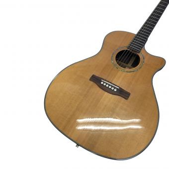 FENDER (フェンダー) GA45SCE CC08014282