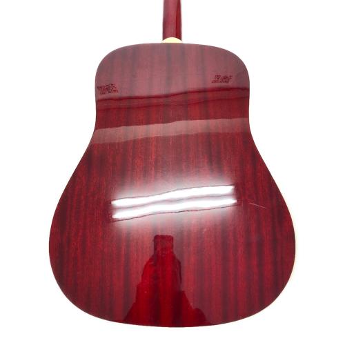 EPIPHONE (エピフォン) HUMMINGBIRD N06102077