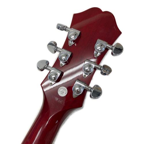 EPIPHONE (エピフォン) HUMMINGBIRD N06102077