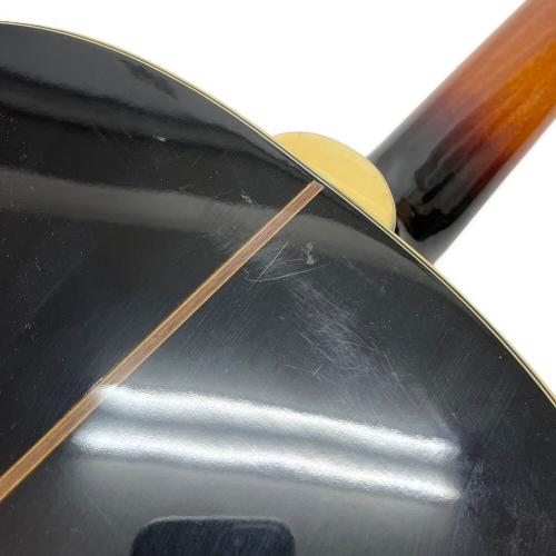 EPIPHONE (エピフォン)  EJ-160E　ジョンレノン