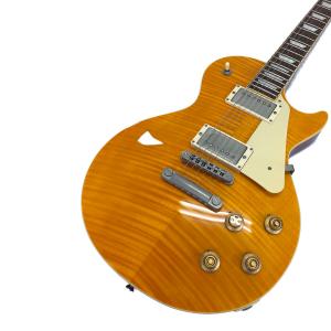 Burny (バーニー) レスポールタイプ FG14110024