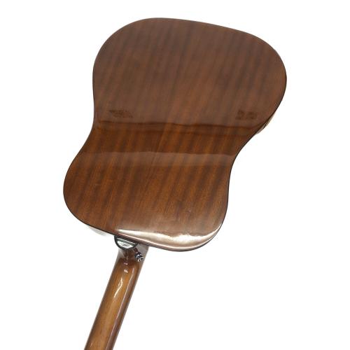 EPIPHONE (エピフォン)DR-100 NA