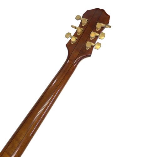 EPIPHONE (エピフォン) シェラトン vsb s94011650