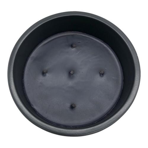 Diptyque (ディプティック) BAIES SCENTED CANDLE 1500g BAIES