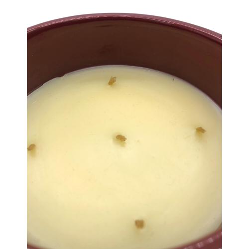 Diptyque (ディプティック) ガーデンキャンドル 1500g TUBEREUSE