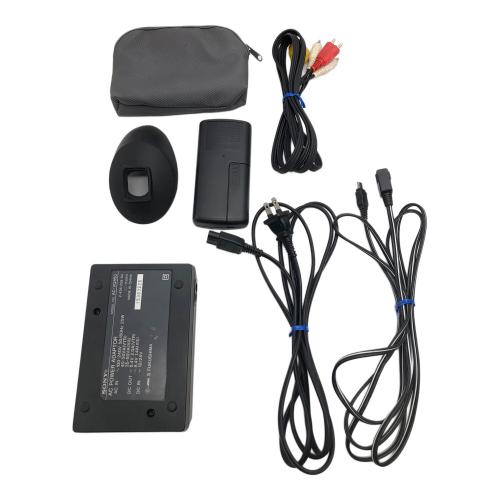 SONY (ソニー) デジタルビデオカメラ 2.5 型(インチ) DCR-VX2000 -