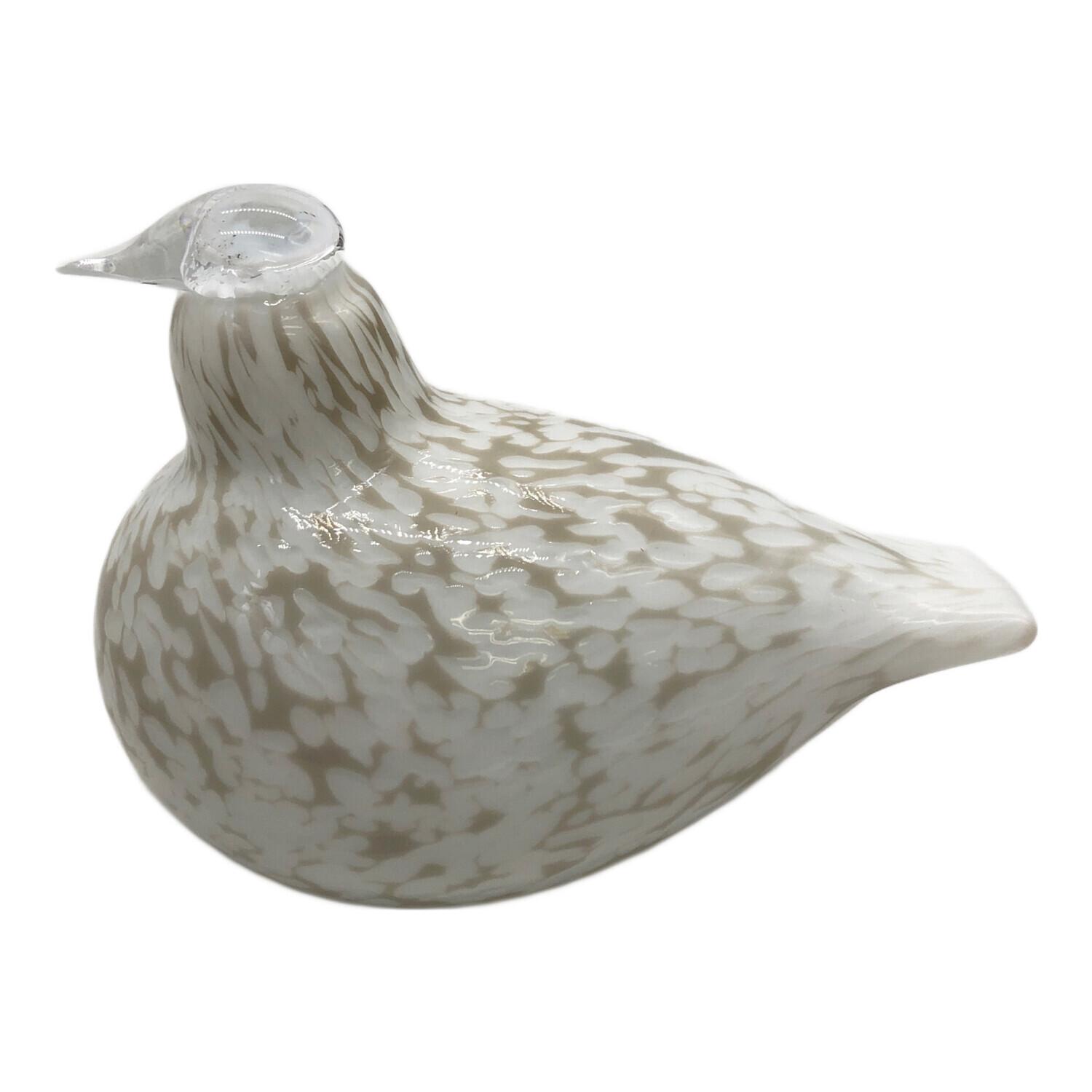 Willow Grouse オイバ トイッカ iittara バード