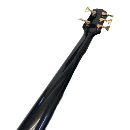 IYV 5弦ベース カスタムオーダーメイド