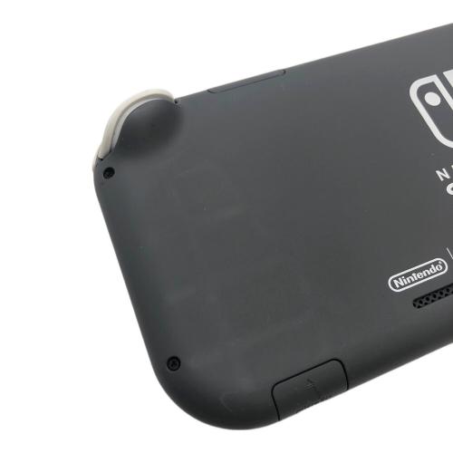 Nintendo (ニンテンドー) Nintendo Switch Lite HDH-001 動作確認済み -
