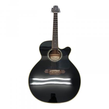 Takamine (タカミネ) DMP561C BL｜トレファクONLINE