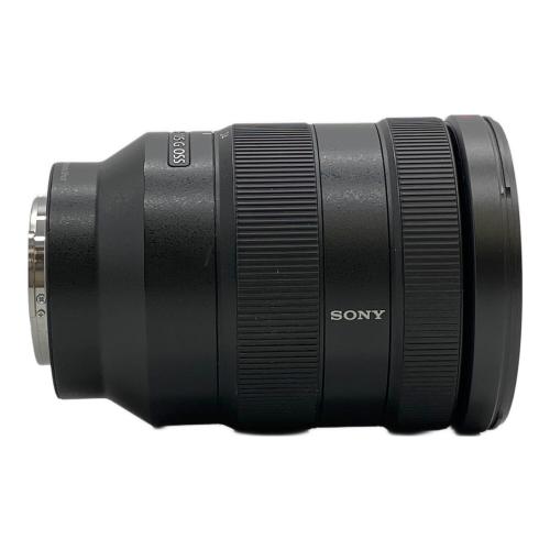 SONY (ソニー) ズームレンズ FE 24-105mm F4 G OSS  SEL24105G 24～105 mm α Eマウント系 標準ズームレンズ -