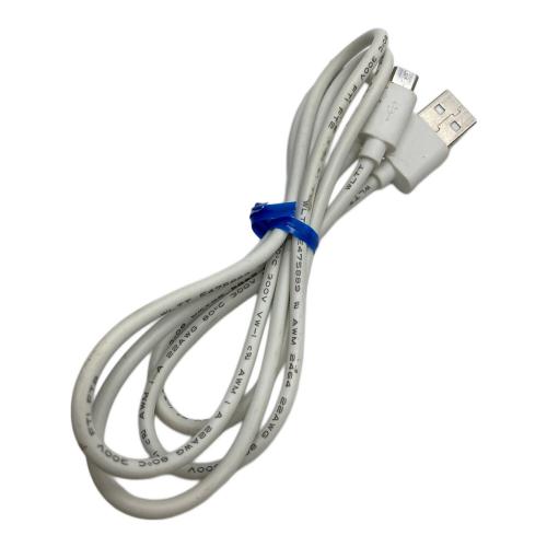 SANYO (サンヨー) ムービーカメラ 1430万画素 DMX-CA100 -