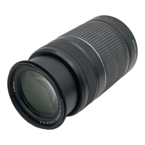 CANON (キヤノン) ダブルレンズズームキット EOSKISS X5