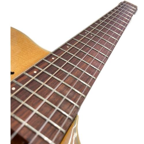 Godin (ゴダン) Multiac Duet Nylon