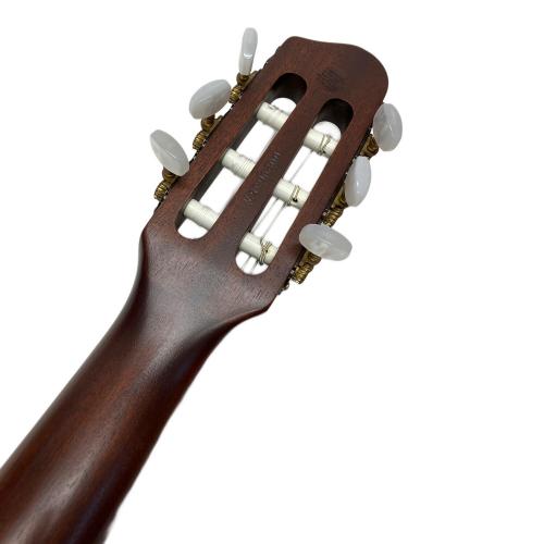 Godin (ゴダン) Multiac Duet Nylon