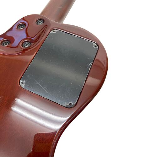 Godin (ゴダン) Multiac Duet Nylon