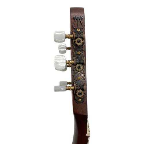Godin (ゴダン) Multiac Duet Nylon