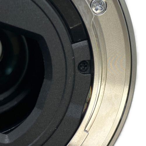 SONY (ソニー) ミラーレス一眼レフカメラ NEX-C3