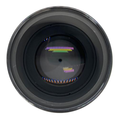 Nikon (ニコン) 単焦点レンズ AF MICRO NIKKOR 105mm 1:2.8