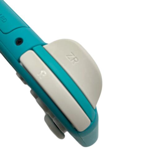 Nintendo (ニンテンドー) Nintendo Switch Lite HDH-001