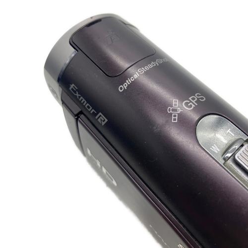 SONY (ソニー) デジタルビデオカメラ HDR-CX370V