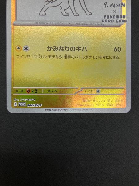 YU NAGABA × ポケモンカードゲーム for BEAMS サンダース ポケモン