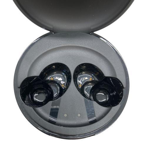 Victor (ビクター) ワイヤレスイヤホン HA-FW5000T