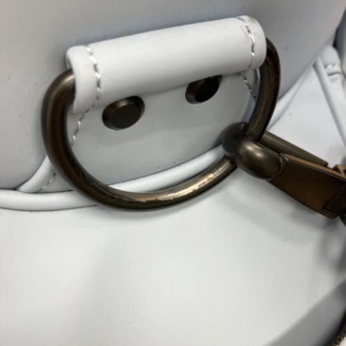 DESCENTE (デサント) キャディバッグ DG5SCB01M グレー