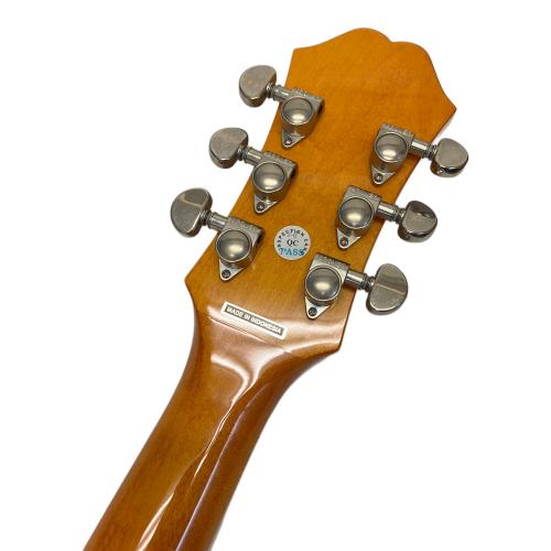 EPIPHONE (エピフォン) DOVE  PRO/VB