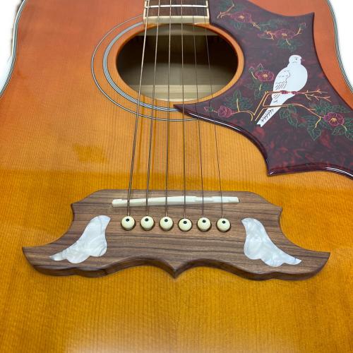 EPIPHONE (エピフォン) DOVE  PRO/VB