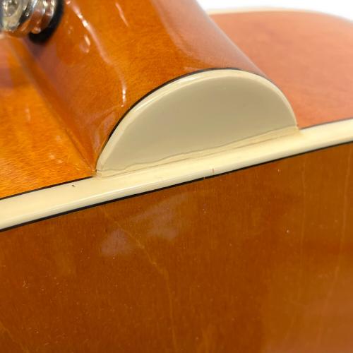 EPIPHONE (エピフォン) DOVE  PRO/VB