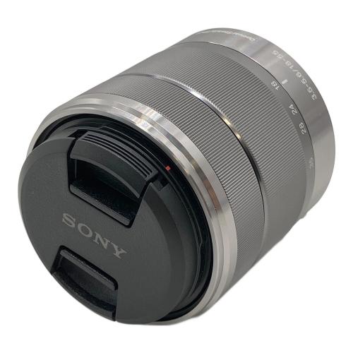 SONY (ソニー) ミラーレス一眼カメラ ズームレンズキット NEX-3