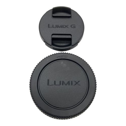 Panasonic (パナソニック) ズームレンズ H-FS12032