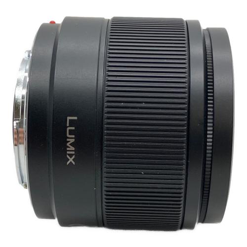 Panasonic (パナソニック) 単焦点レンズ H-H025