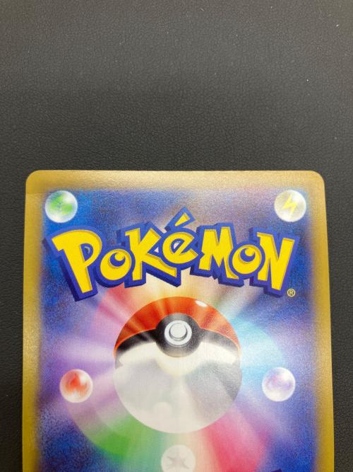 pokemon（ポケモン）ポケモンカードゲーム ソード&シールド Pokemon GO カードファイルセット