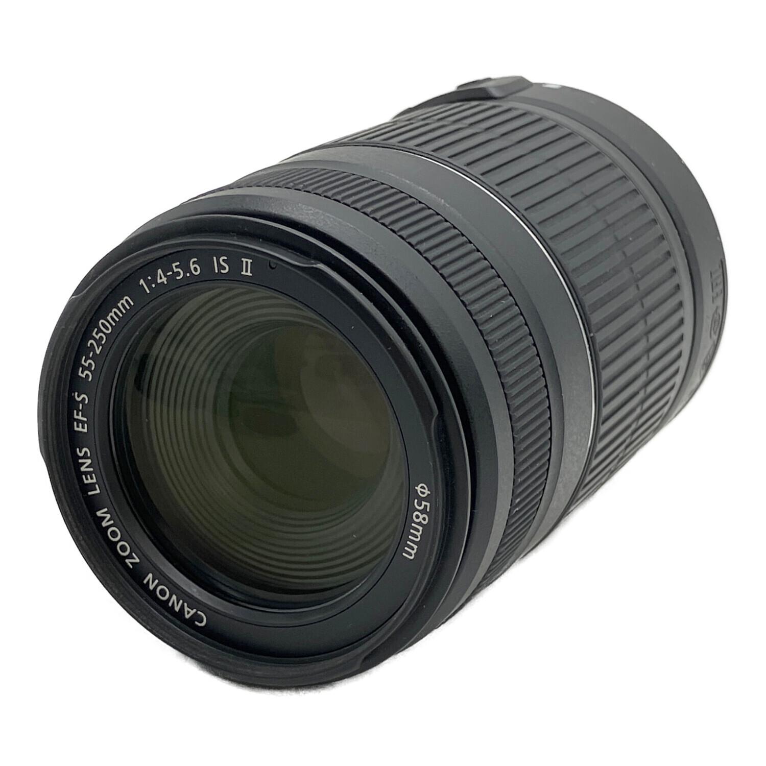 CANON (キヤノン) 望遠ズームレンズ EF-S55-250mm F4-5.6 IS STM