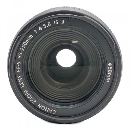 CANON (キヤノン) 望遠ズームレンズ EF-S55-250mm F4-5.6 IS STM