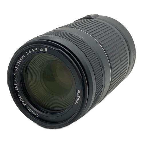 CANON (キヤノン) 望遠ズームレンズ EF-S55-250mm F4-5.6 IS STM