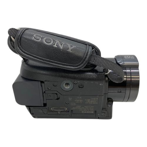 SONY (ソニー) ビデオカメラ HDR-CX7