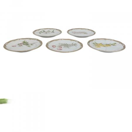 ノリタケ ガラコンテッサ プレート 6枚 Noritake (ノリタケ)プレート 廃盤品 ガラコンテッサ 5Pセット