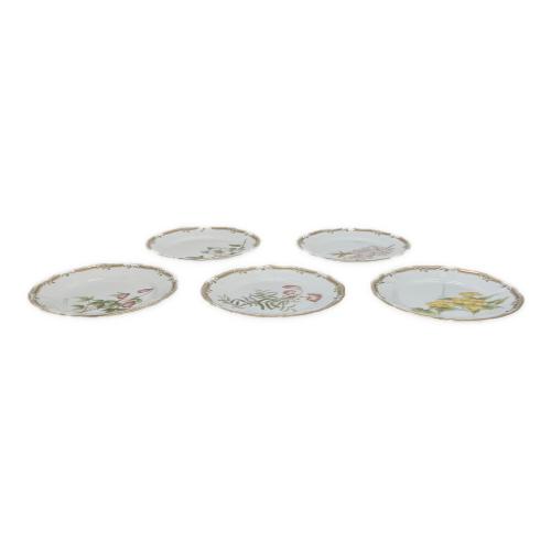 Noritake (ノリタケ)プレート 廃盤品 ガラコンテッサ 5Pセット