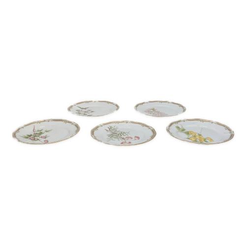 Noritake (ノリタケ)プレート 廃盤品 ガラコンテッサ 5Pセット