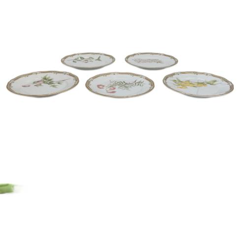 Noritake (ノリタケ)プレート 廃盤品 ガラコンテッサ 5Pセット